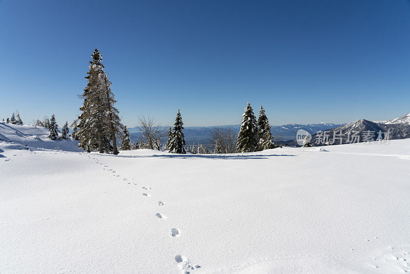 冬季景观的Velika Planina，牧场高原，在深深的雪地上的脚印对蓝色的天空